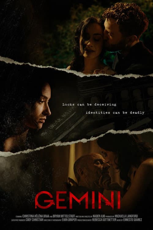 Poster for Gemini