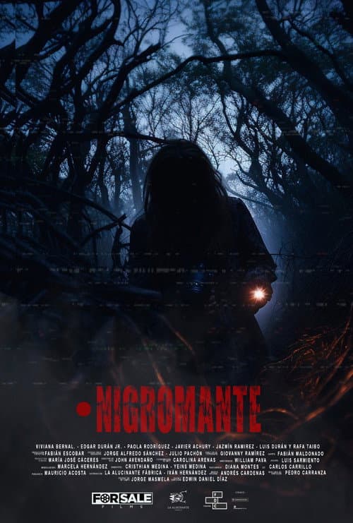 Poster for Necromancer