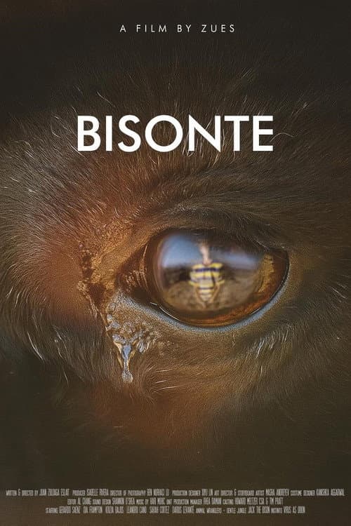 Poster for Bisonte