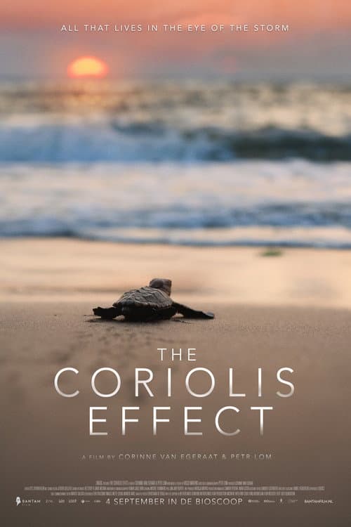 Poster for The Coriolis Effect