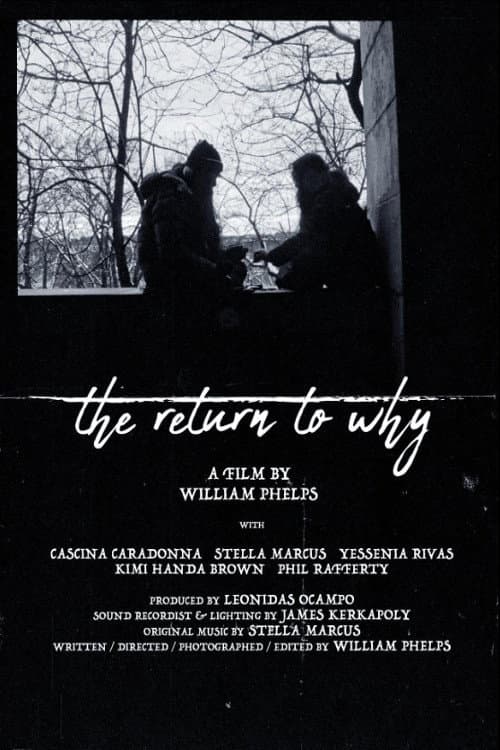 Poster for The Return to Why