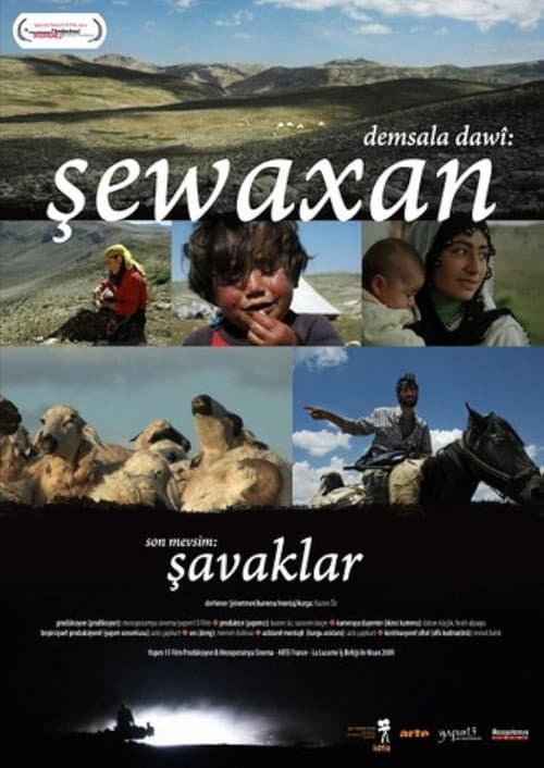 Poster for The Last Season: Shawaks