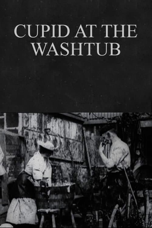 Poster for Cupid at the Washtub