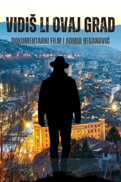 Poster for Do You See This City...