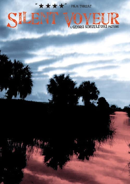 Poster for Silent Voyeur