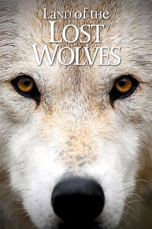 Poster for Land of the Lost Wolves
