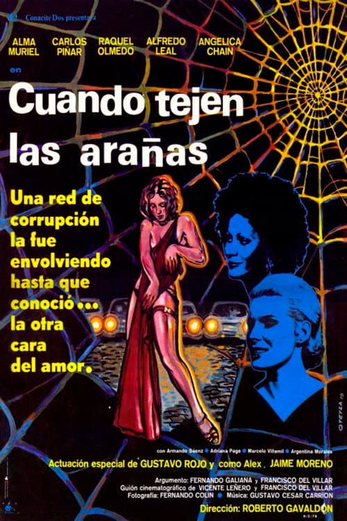Poster for Cuando tejen las arañas