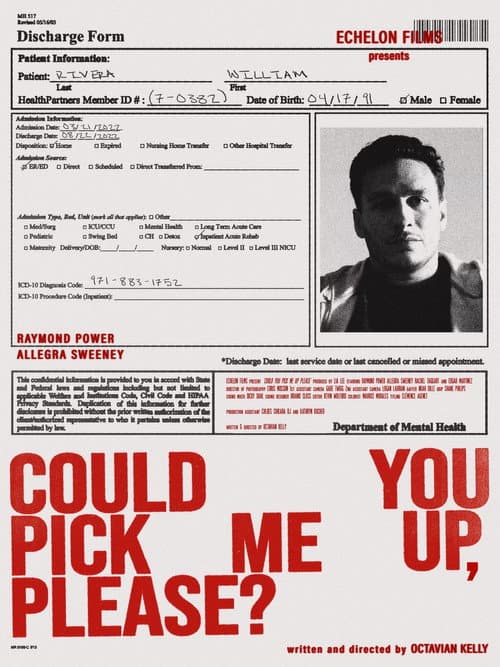 Poster for Could You Pick Me Up, Please?