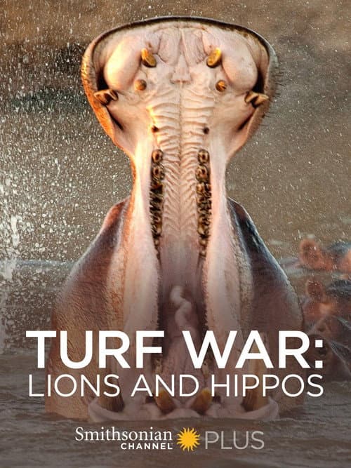 Poster for Turf War: Lions and Hippos