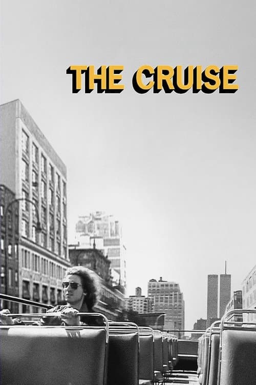 Poster for The Cruise