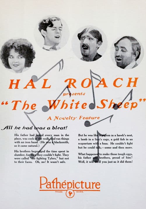 Poster for The White Sheep