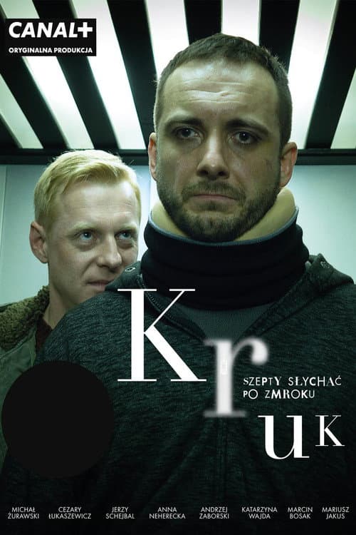 Постер до серіалу «Крук»
