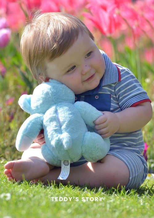 Постер до фільму «Teddy's Story»
