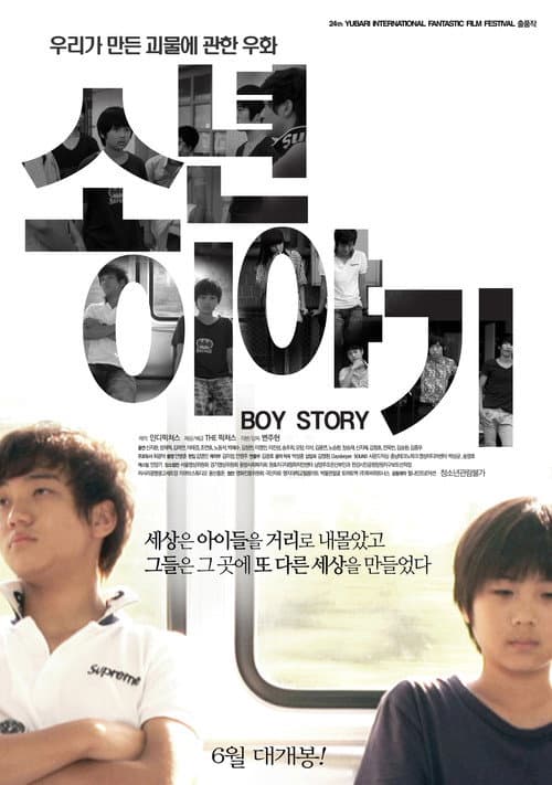 Poster for Boy Story