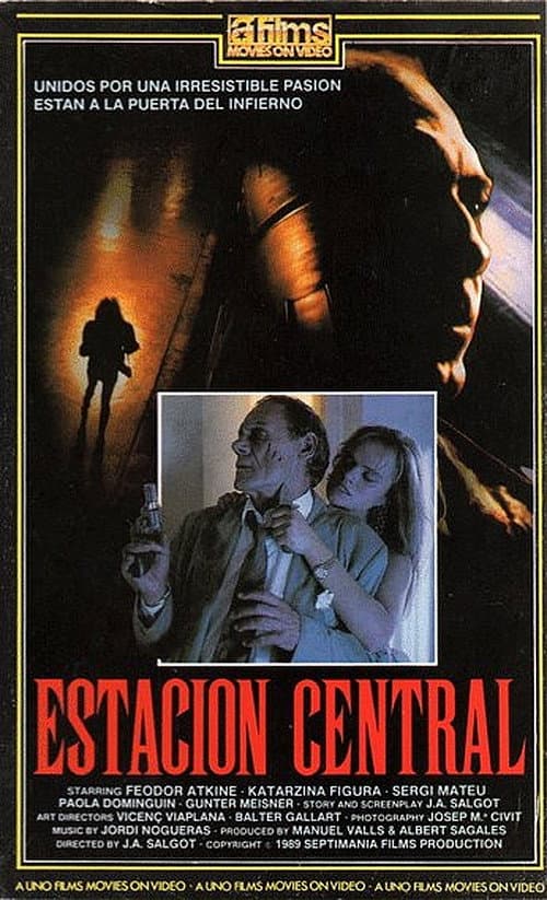Poster for Central Station