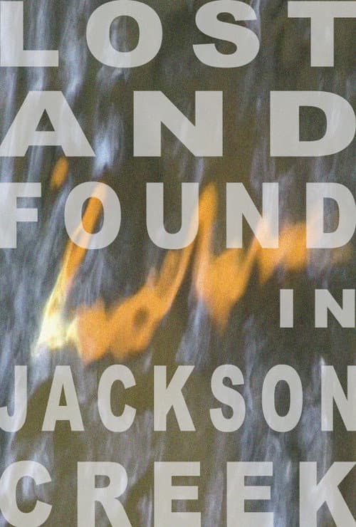Poster for Lost and Found in Jackson Creek
