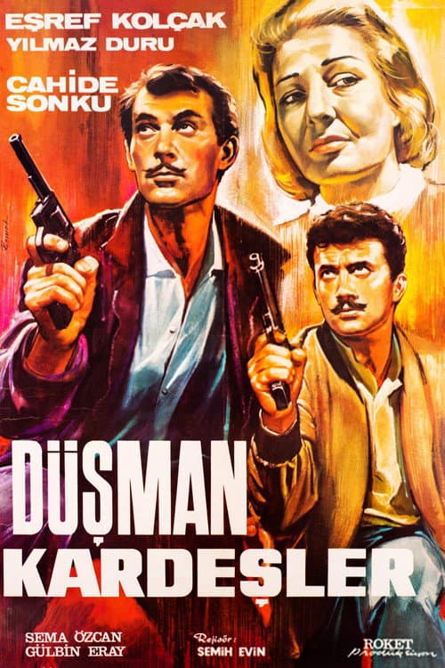 Poster for Düşman Kardeşler