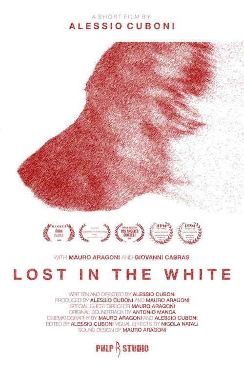 Poster for Lost in the White