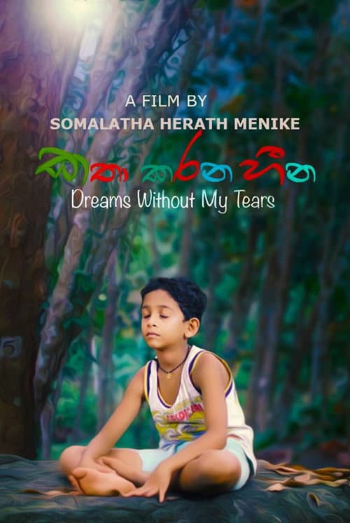 Poster for Dreams Without My Tears