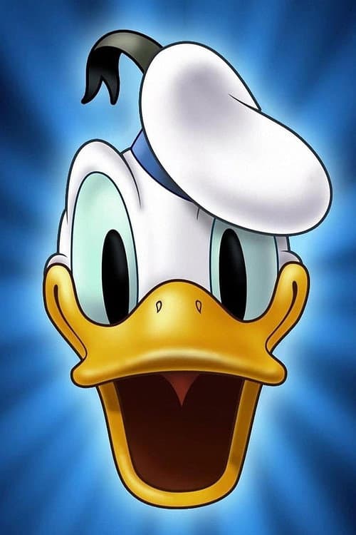 Poster for Duck Flies Coop