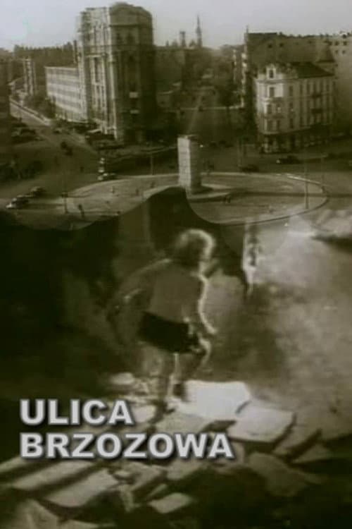 Poster for Brzozowa Street