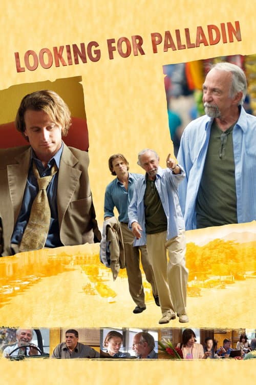 Poster for Looking for Palladin