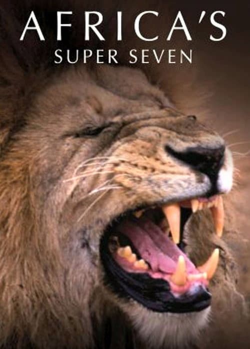 Poster for Africa's Super Seven