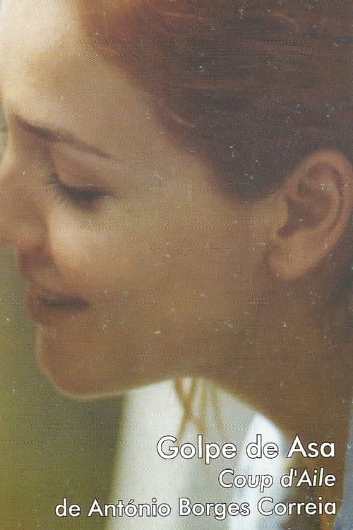 Poster for Golpe de Asa