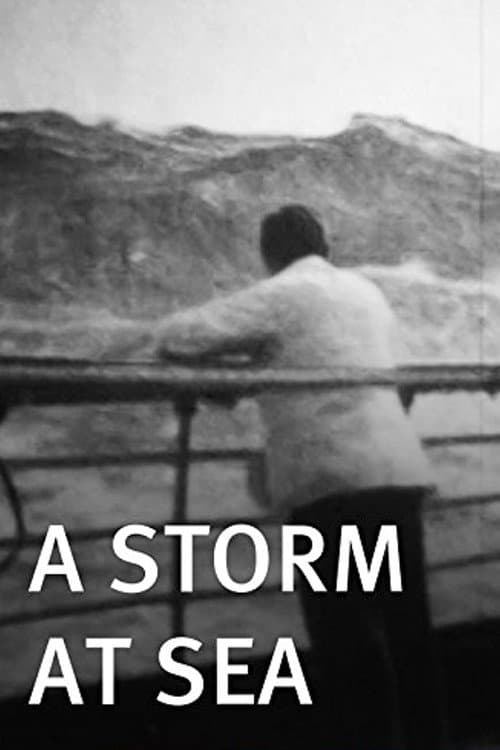 Poster for A Storm at Sea