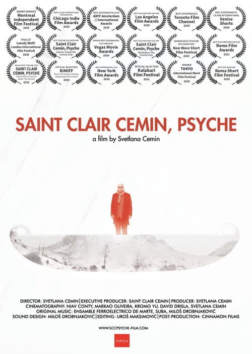 Poster for Saint Clair Cemin, Psyche