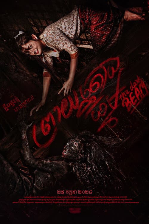 Poster for The Dark Beam