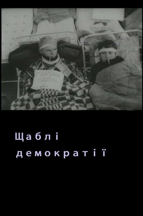 Постер до фільму «Levels Of Democracy»