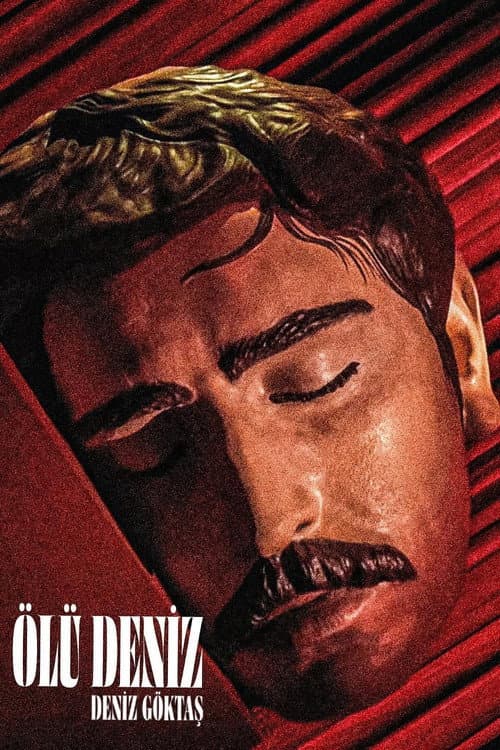 Poster for Deniz Goktas: Dead Sea