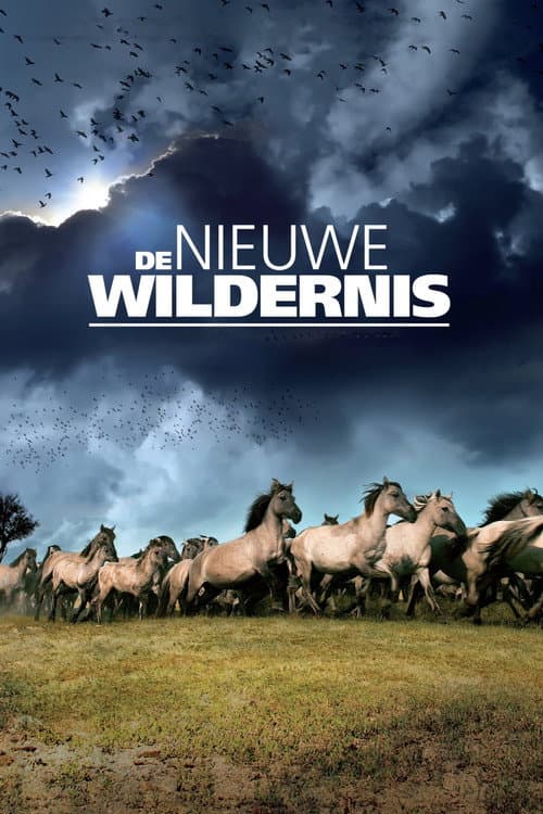 Poster for The New Wilderness