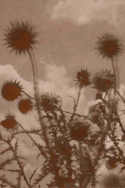 Poster for Crashing Skies