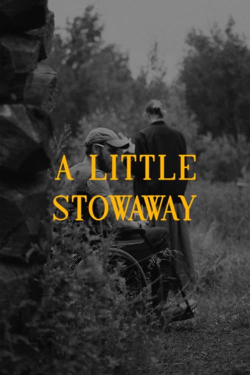 Poster for A Little Stowaway