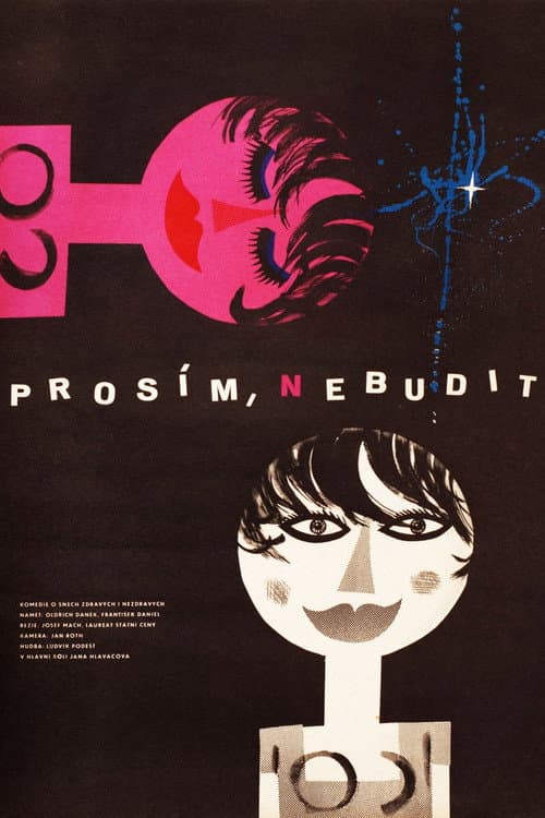 Poster for Prosím, nebudit