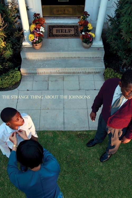 Poster for The Strange Thing About the Johnsons