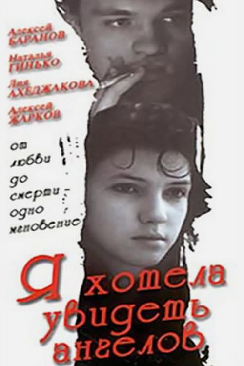 Poster for I Wanted to See Angels