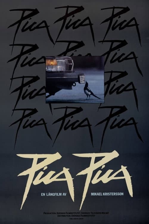 Poster for Pica Pica
