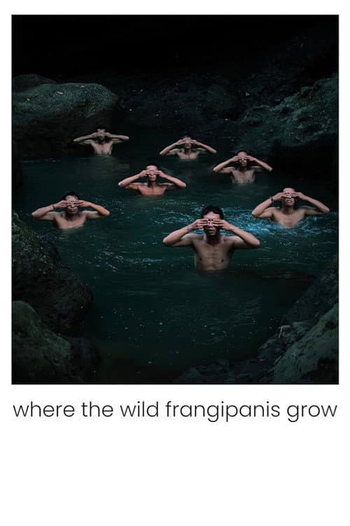 Poster for Where the Wild Frangipanis Grow