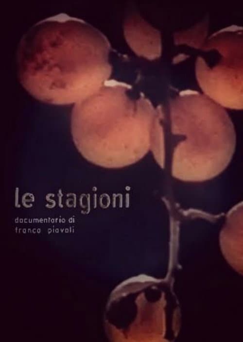 Poster for The Seasons