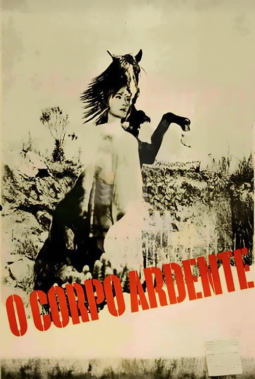Poster for The Burning Body