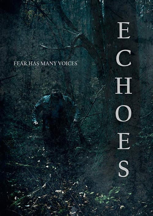 Poster for Echoes