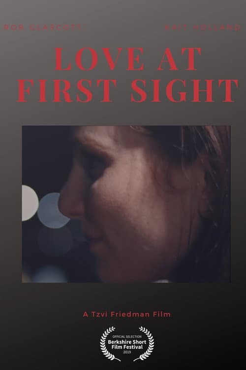 Poster for Love at First Sight