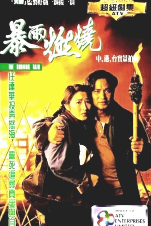 Poster for 暴雨燃烧