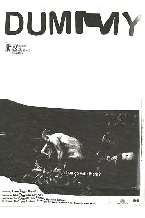 Poster for Dummy