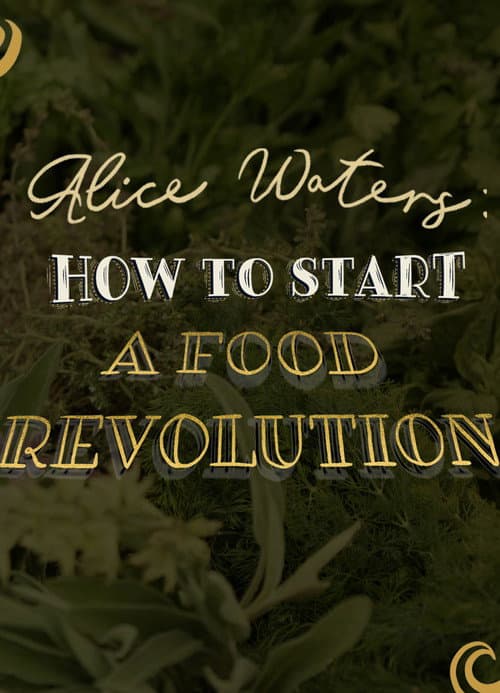 Постер до фільму «Alice Waters: How To Start A Food Revolution»