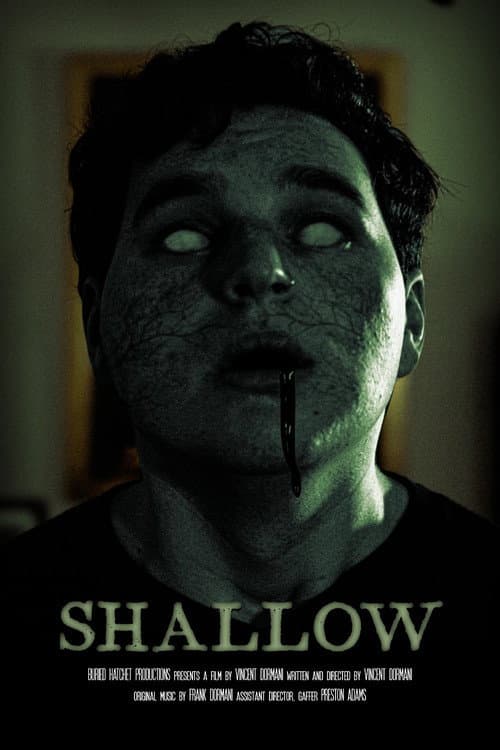 Poster for Shallow
