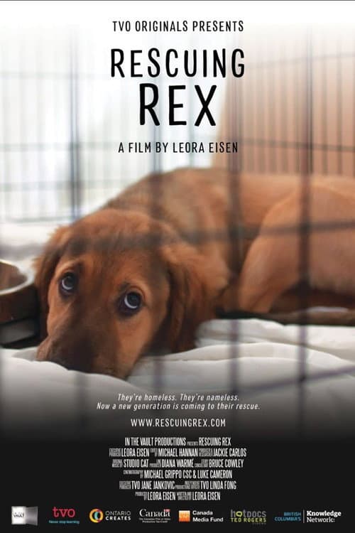 Poster for Rescuing Rex